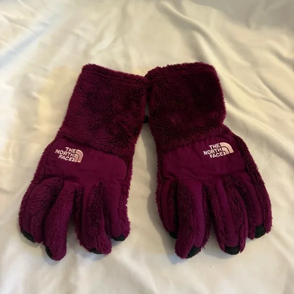 EUC The North Face Osito Gloves - Picture 1 of 5
